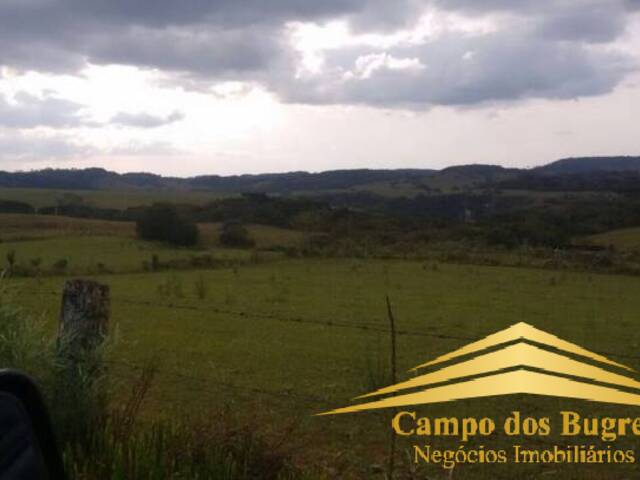 Fazenda para Venda em Caxias do Sul - 2
