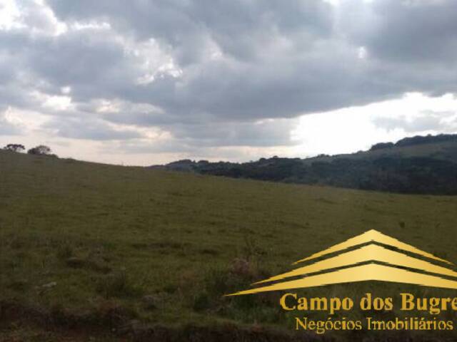 Fazenda para Venda em Caxias do Sul - 3