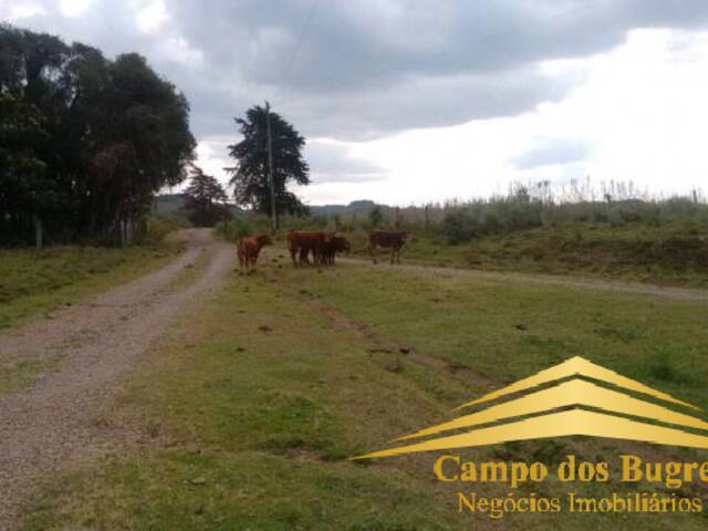 Fazenda para Venda em Caxias do Sul - 4