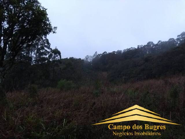 Chácara para Venda em Caxias do Sul - 4