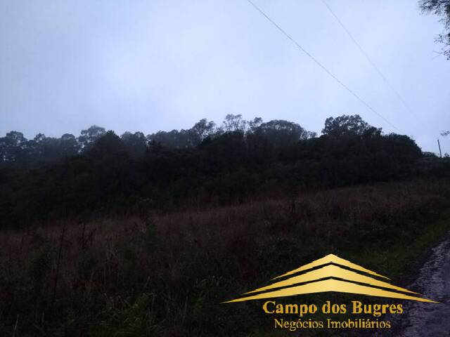 Chácara para Venda em Caxias do Sul - 5