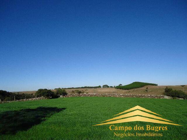 #95 - Fazenda para Venda em São Francisco de Paula - RS